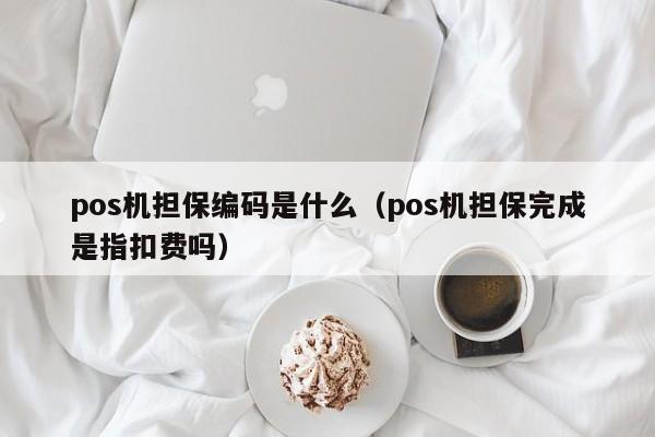 pos机担保编码是什么（pos机担保完成是指扣费吗）