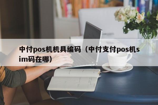 中付pos机机具编码（中付支付pos机sim码在哪）