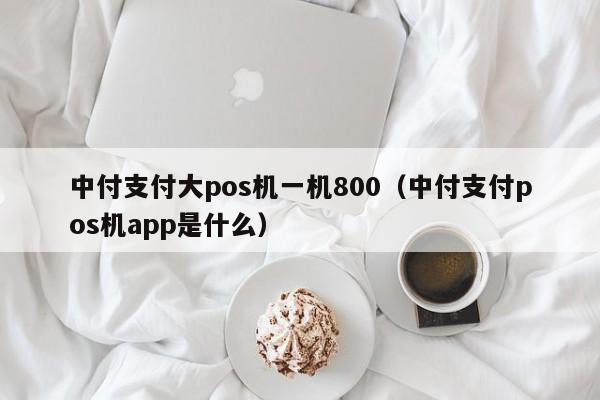 中付支付大pos机一机800（中付支付pos机app是什么）