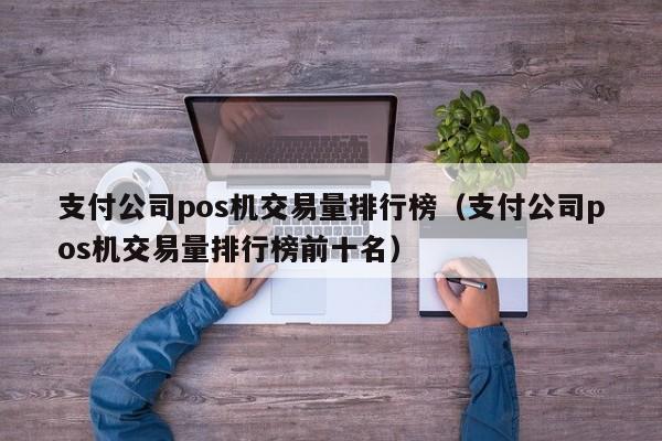 支付公司pos机交易量排行榜（支付公司pos机交易量排行榜前十名）