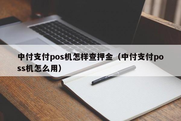 中付支付pos机怎样查押金（中付支付poss机怎么用）