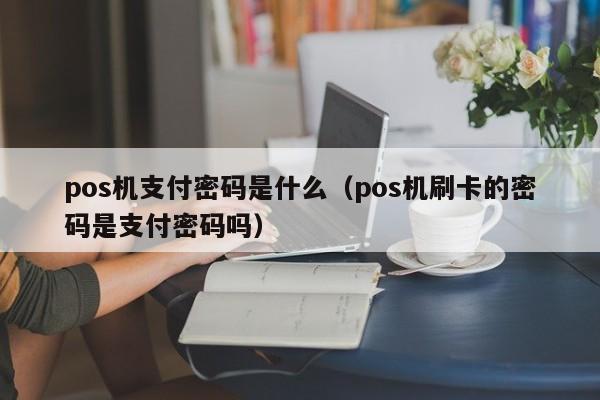 pos机支付密码是什么（pos机刷卡的密码是支付密码吗）