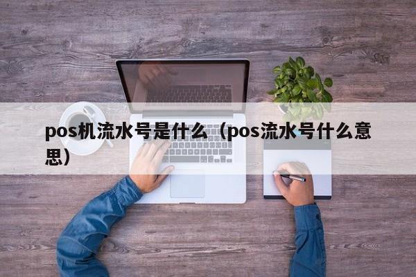 pos机流水号是什么（pos流水号什么意思）