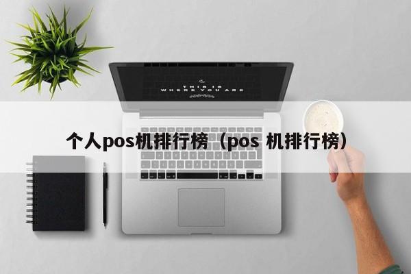 个人pos机排行榜（pos 机排行榜）