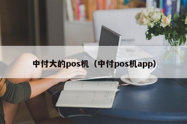 中付大的pos机（中付pos机app）