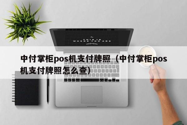 中付掌柜pos机支付牌照（中付掌柜pos机支付牌照怎么查）