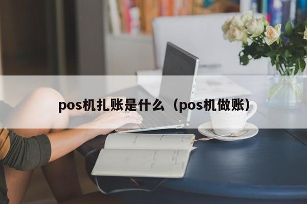 pos机扎账是什么（pos机做账）