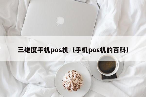 三维度手机pos机（手机pos机的百科）