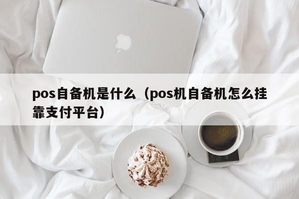 pos自备机是什么（pos机自备机怎么挂靠支付平台）