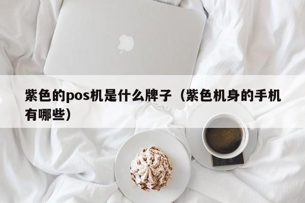 紫色的pos机是什么牌子（紫色机身的手机有哪些）