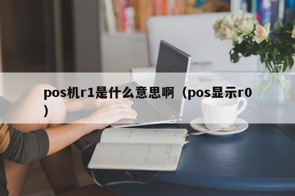 pos机r1是什么意思啊（pos显示r0）