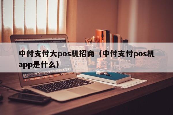 中付支付大pos机招商（中付支付pos机app是什么）