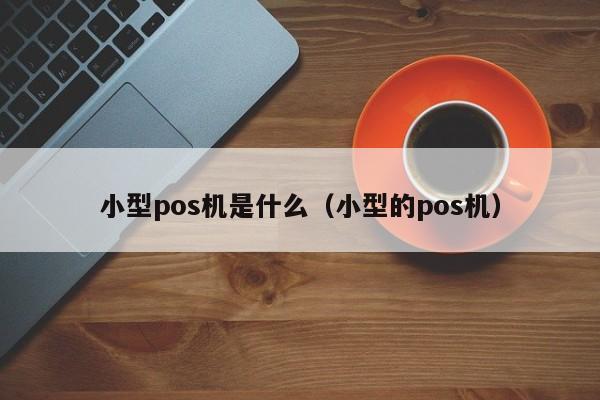 小型pos机是什么（小型的pos机）