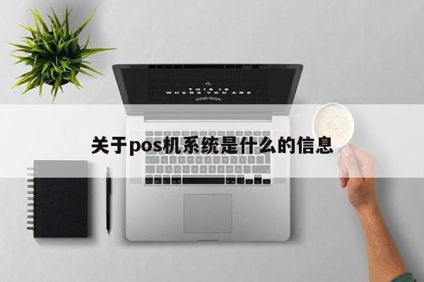 关于pos机系统是什么的信息