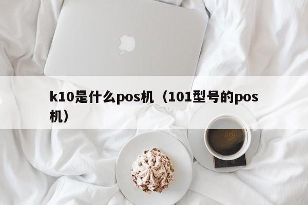 k10是什么pos机（101型号的pos机）