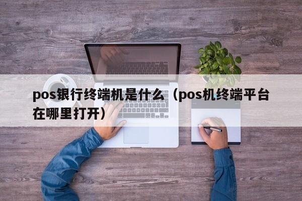 pos银行终端机是什么（pos机终端平台在哪里打开）