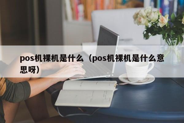 pos机裸机是什么（pos机裸机是什么意思呀）