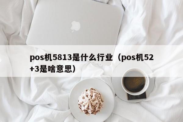 pos机5813是什么行业（pos机52+3是啥意思）