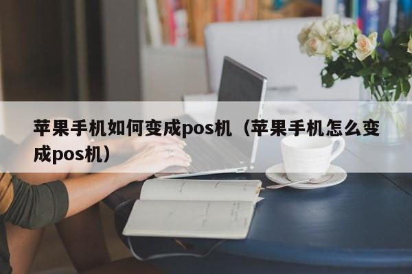 苹果手机如何变成pos机（苹果手机怎么变成pos机）