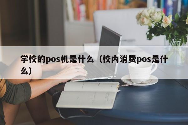 学校的pos机是什么（校内消费pos是什么）