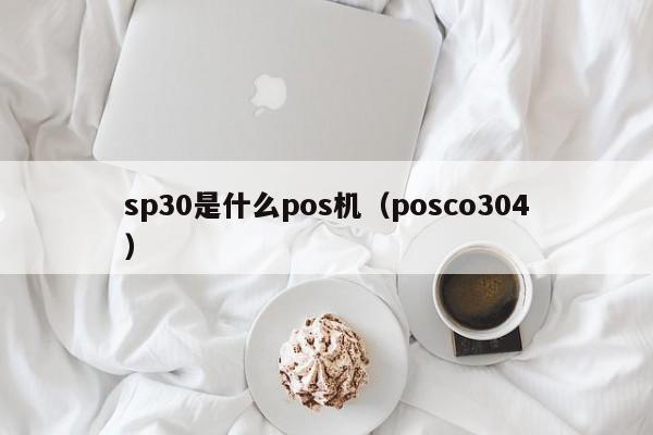 sp30是什么pos机（posco304）