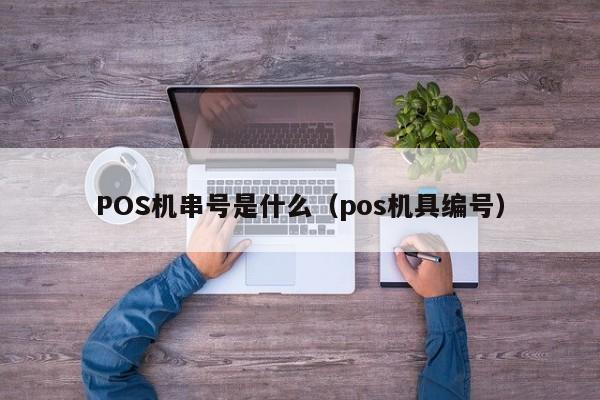 POS机串号是什么（pos机具编号）