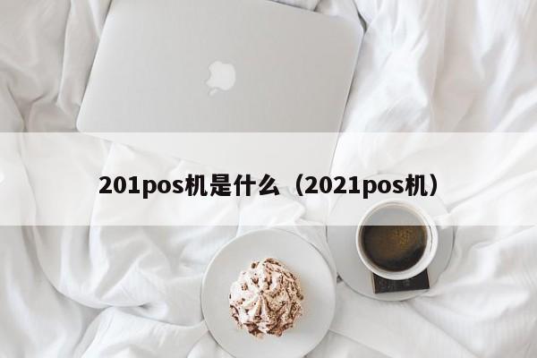 201pos机是什么（2021pos机）