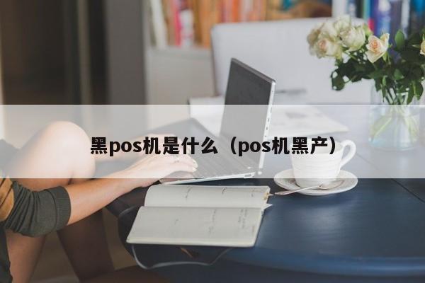 黑pos机是什么（pos机黑产）