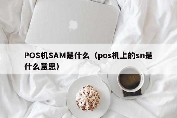 POS机SAM是什么（pos机上的sn是什么意思）