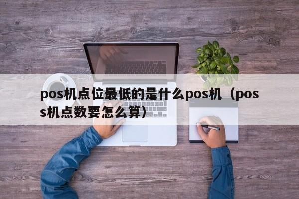 pos机点位最低的是什么pos机（poss机点数要怎么算）