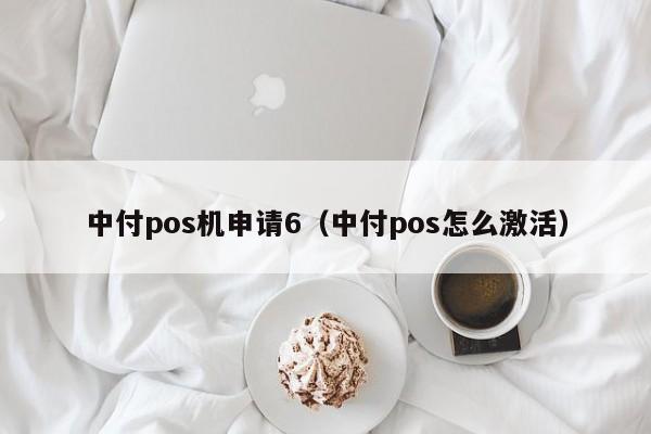 中付pos机申请6（中付pos怎么激活）