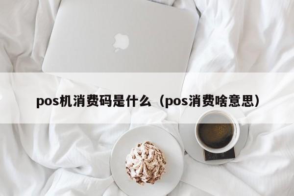 pos机消费码是什么（pos消费啥意思）