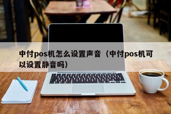 中付pos机怎么设置声音（中付pos机可以设置静音吗）