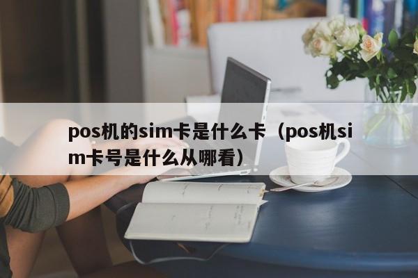 pos机的sim卡是什么卡（pos机sim卡号是什么从哪看）