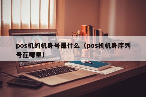 pos机的机身号是什么（pos机机身序列号在哪里）