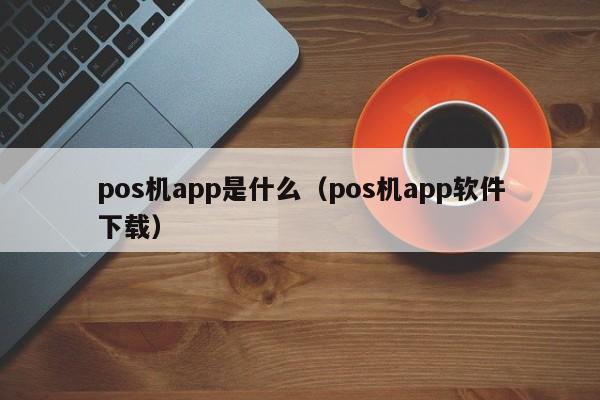 pos机app是什么（pos机app软件下载）