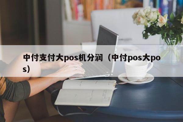 中付支付大pos机分润（中付pos大pos）