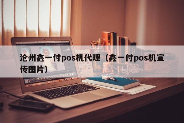 沧州鑫一付pos机代理（鑫一付pos机宣传图片）