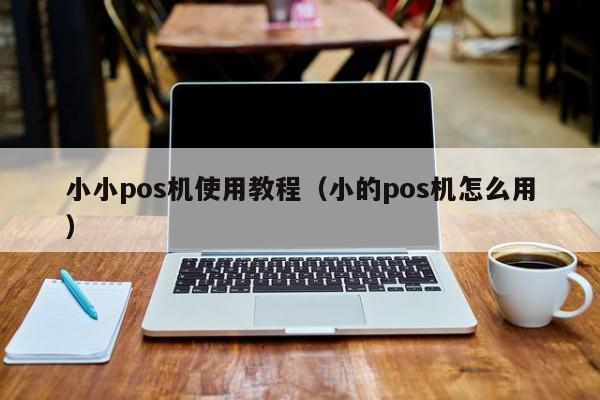 小小pos机使用教程（小的pos机怎么用）