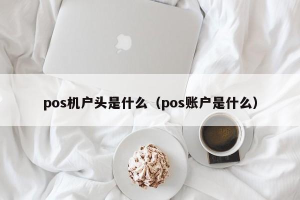 pos机户头是什么（pos账户是什么）