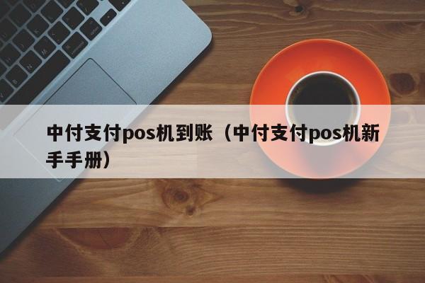 中付支付pos机到账（中付支付pos机新手手册）