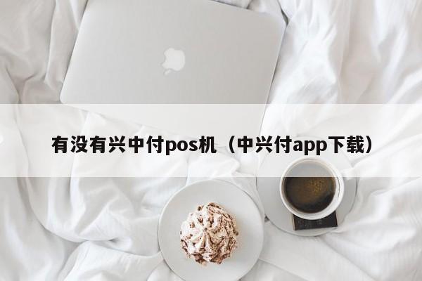 有没有兴中付pos机（中兴付app下载）