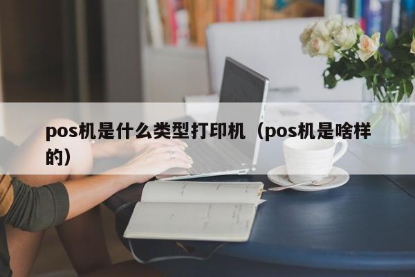 pos机是什么类型打印机（pos机是啥样的）