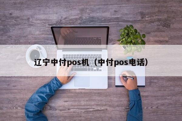 辽宁中付pos机（中付pos电话）