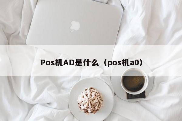 Pos机AD是什么（pos机a0）