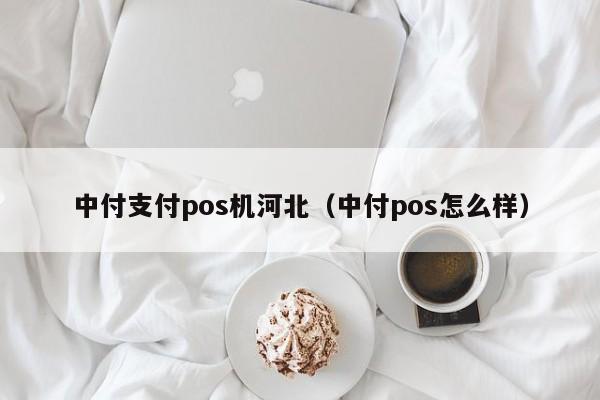 中付支付pos机河北（中付pos怎么样）