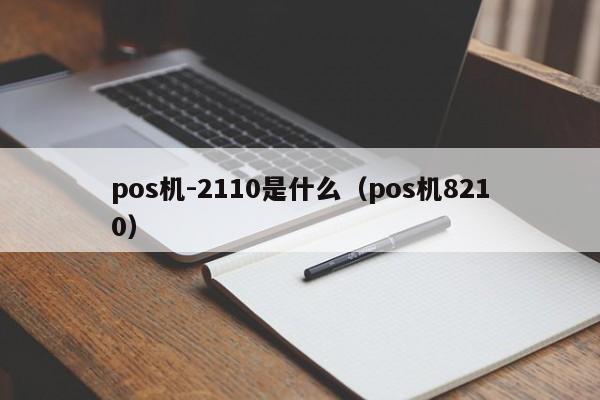 pos机-2110是什么（pos机8210）