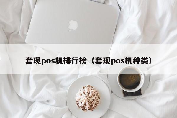 套现pos机排行榜（套现pos机种类）